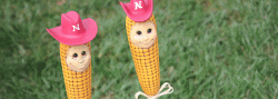 cornhusker stake paintin place ceramics nebraska