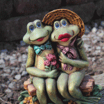 frog couple