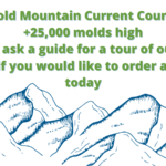 Mold Mountain +25,000 molds high